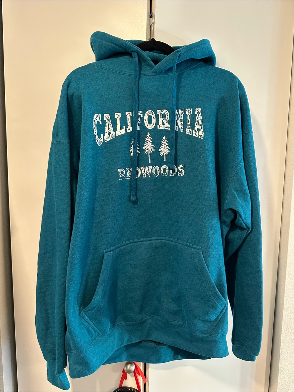 California Redwoods Teal Men's Hoodie XL